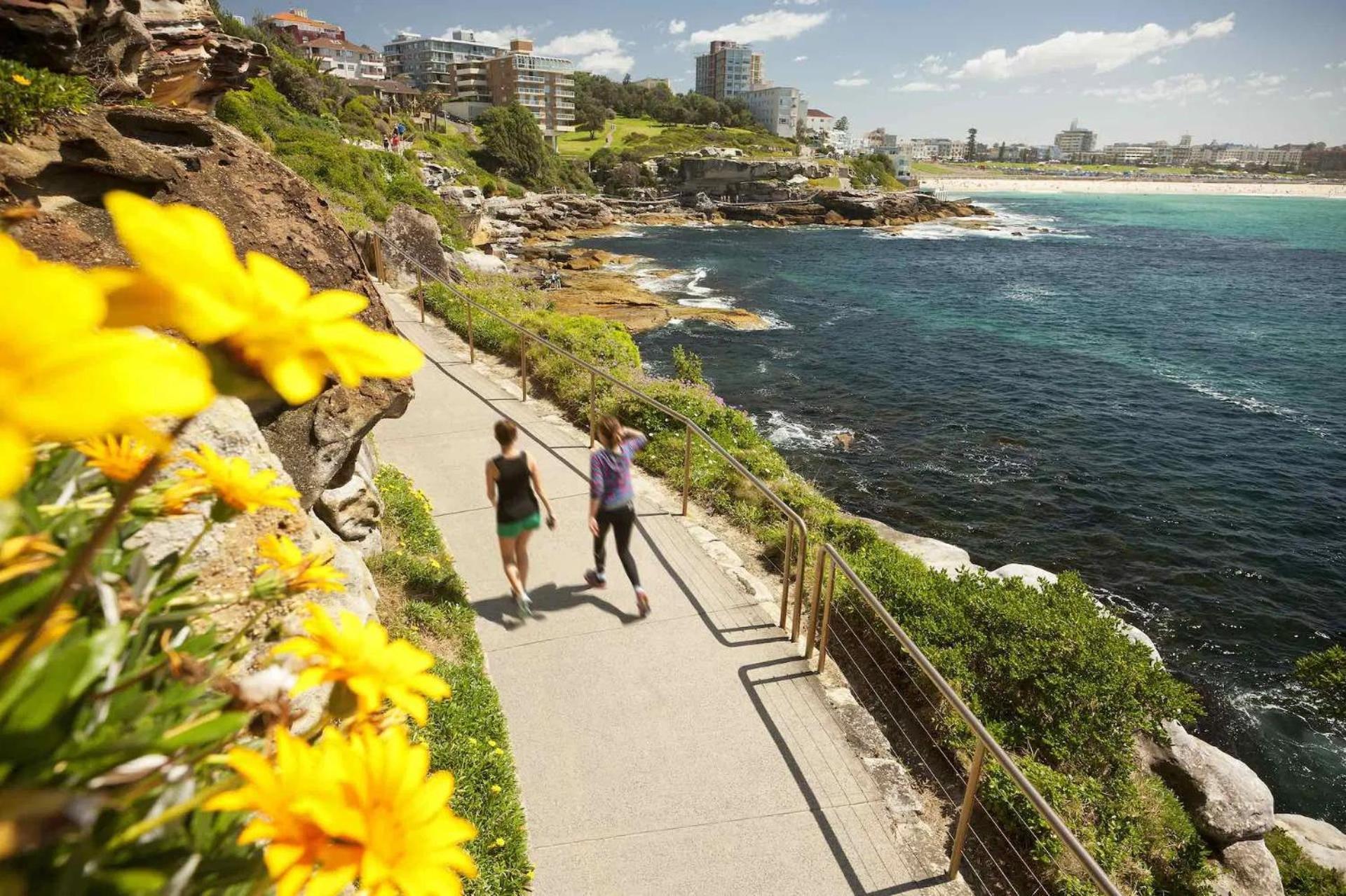 Bondi With Views From Rooftop Pool Sydney