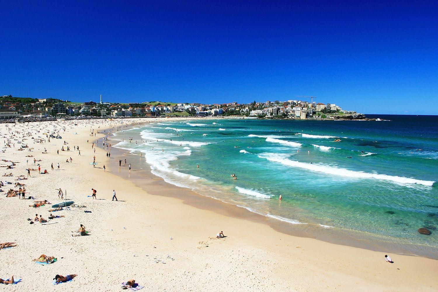 Apartment Bondi With Views From Rooftop Pool *